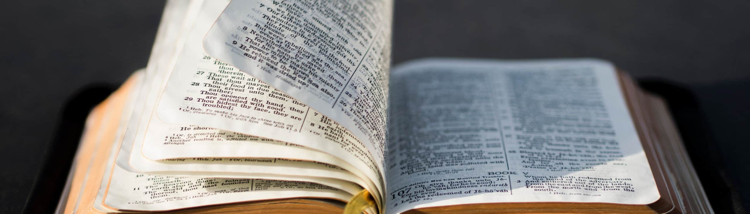 Decorative header photo of an open Bible with the pages being turned